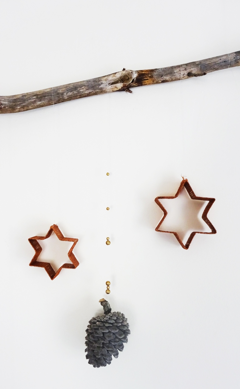 w_driftwood stars pine cone