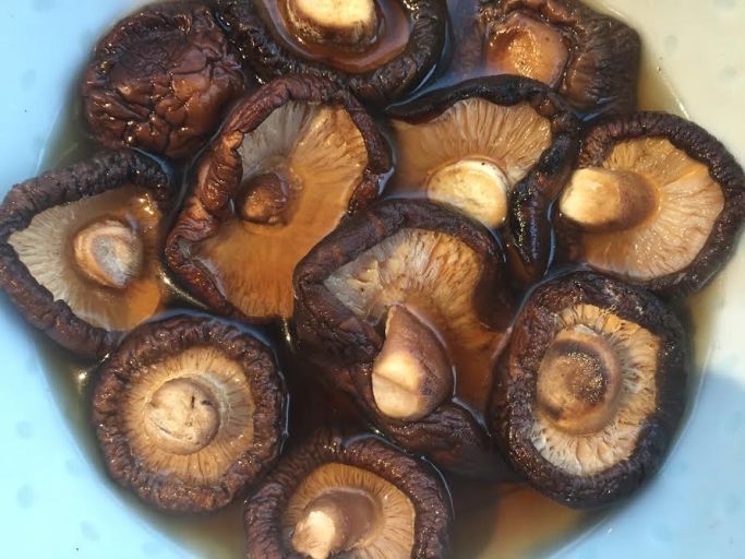 Soak your mushies for at least half an hour in hot water. When you chop them - remove the stems